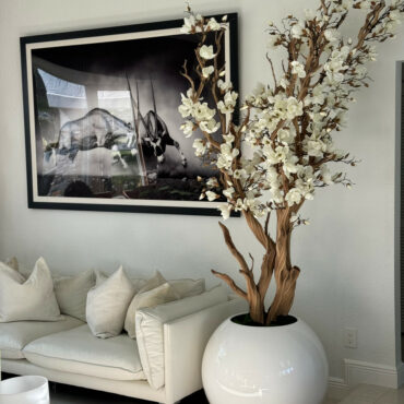 White magnolia tree in 30 glossy white globe planter