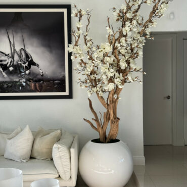 White magnolia tree in 30 glossy white globe planter