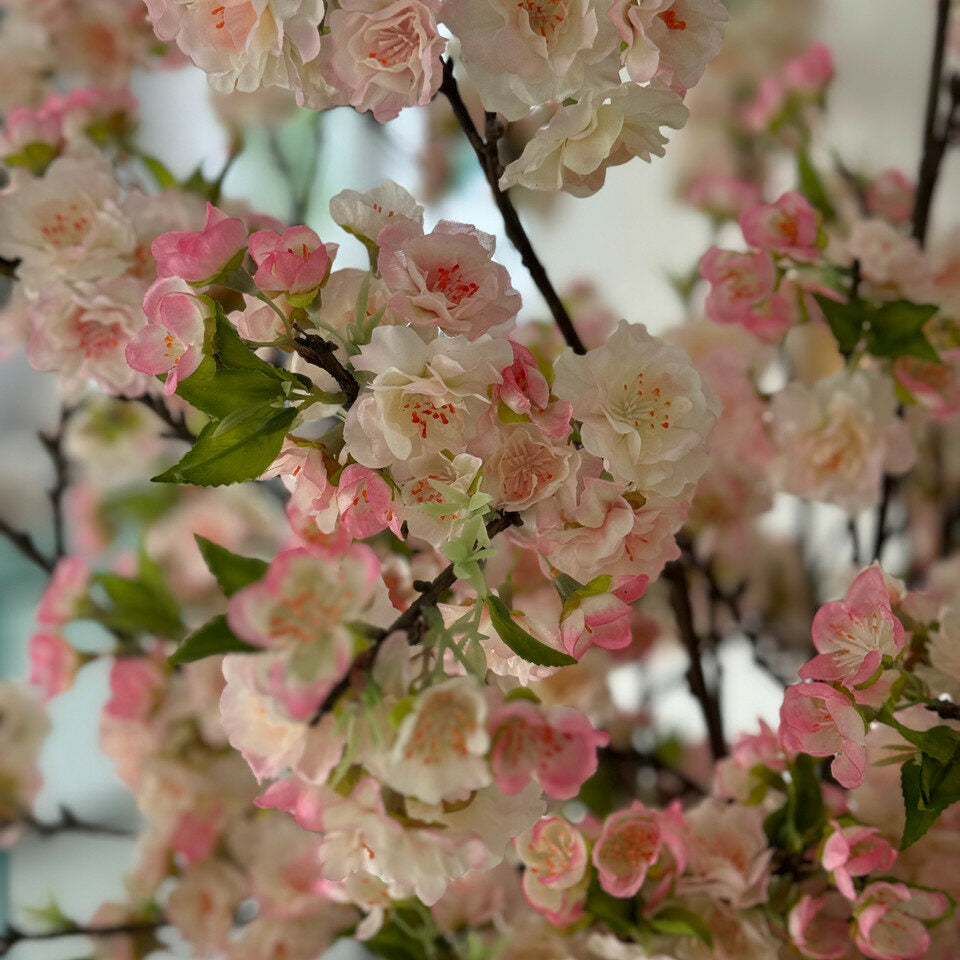 Cherry Blossoms in 16″ Glass Cylinder (Pink / White)