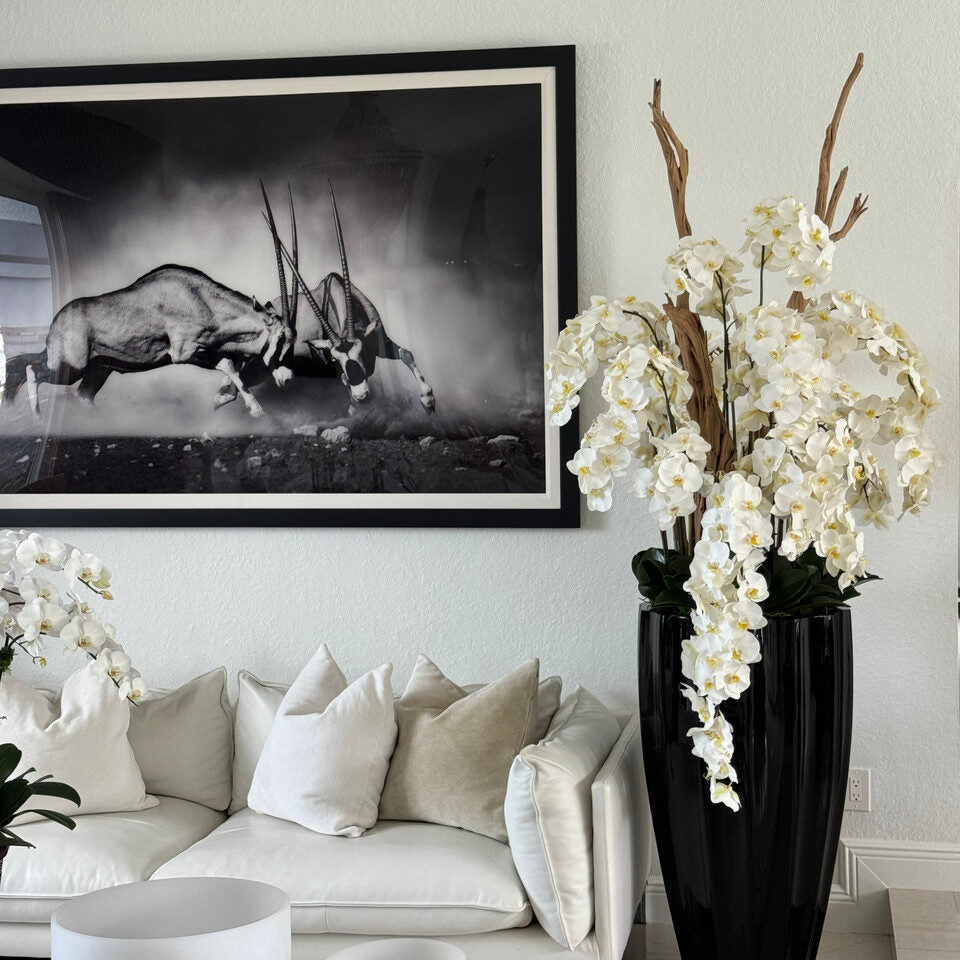 San Jose Planter in ⚪ Beige or ⚫ Black with Cascading White Orchids