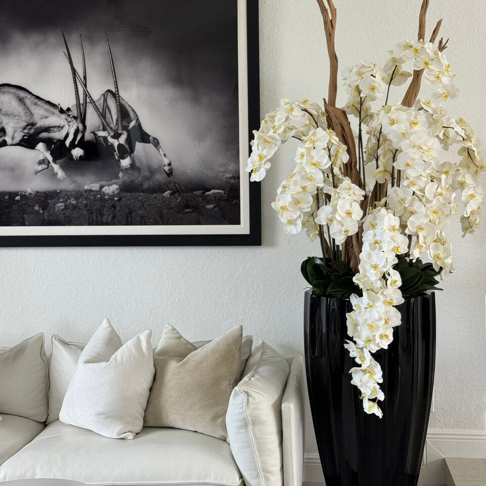 San Jose Planter in ⚪ Beige or ⚫ Black with Cascading White Orchids