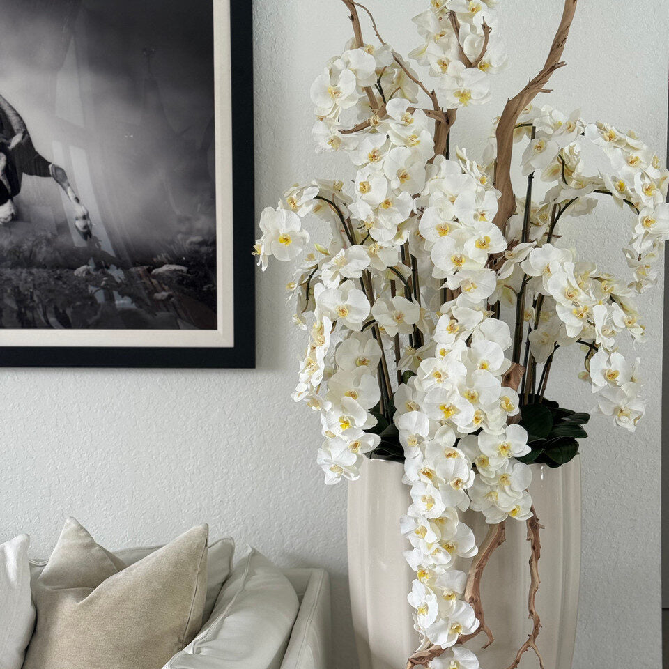San Jose Planter in ⚪ Beige or ⚫ Black with Cascading White Orchids