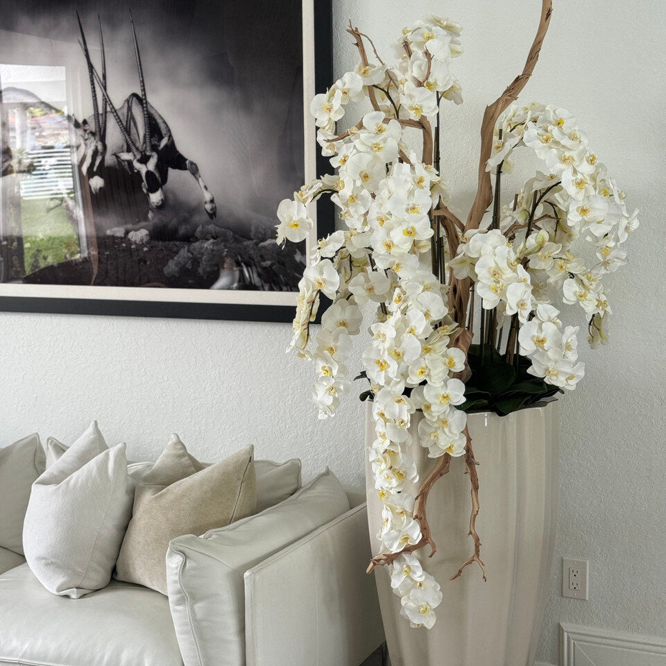 San Jose Planter in ⚪ Beige or ⚫ Black with Cascading White Orchids