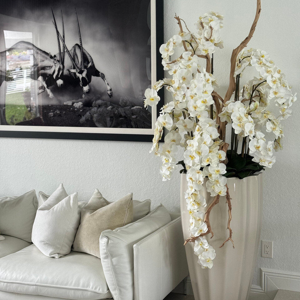 San Jose Planter in ⚪ Beige or ⚫ Black with Cascading White Orchids