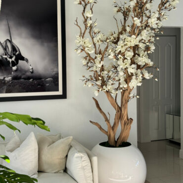 White magnolia tree in 30 glossy white globe planter