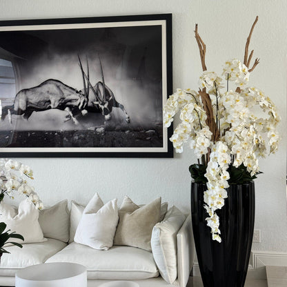San Jose Planter in ⚪ Beige or ⚫ Black with Cascading White Orchids