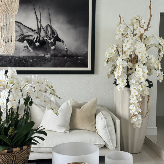 San Jose Planter in ⚪ Beige or ⚫ Black with Cascading White Orchids